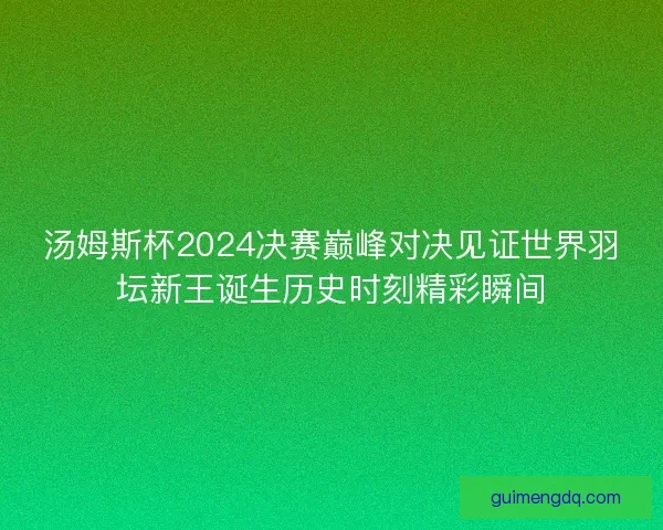 汤姆斯杯2024决赛巅峰对决见证世界羽坛新王诞生历史时刻精彩瞬间