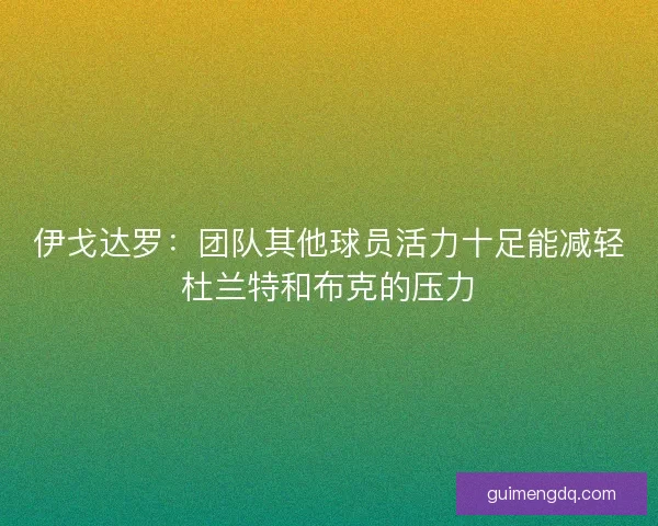 伊戈达罗：团队其他球员活力十足能减轻杜兰特和布克的压力