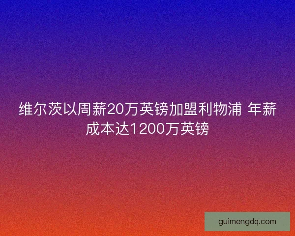 维尔茨以周薪20万英镑加盟利物浦 年薪成本达1200万英镑 维尔茨以周薪20万英镑加盟利物浦 年薪成本达1200万英镑